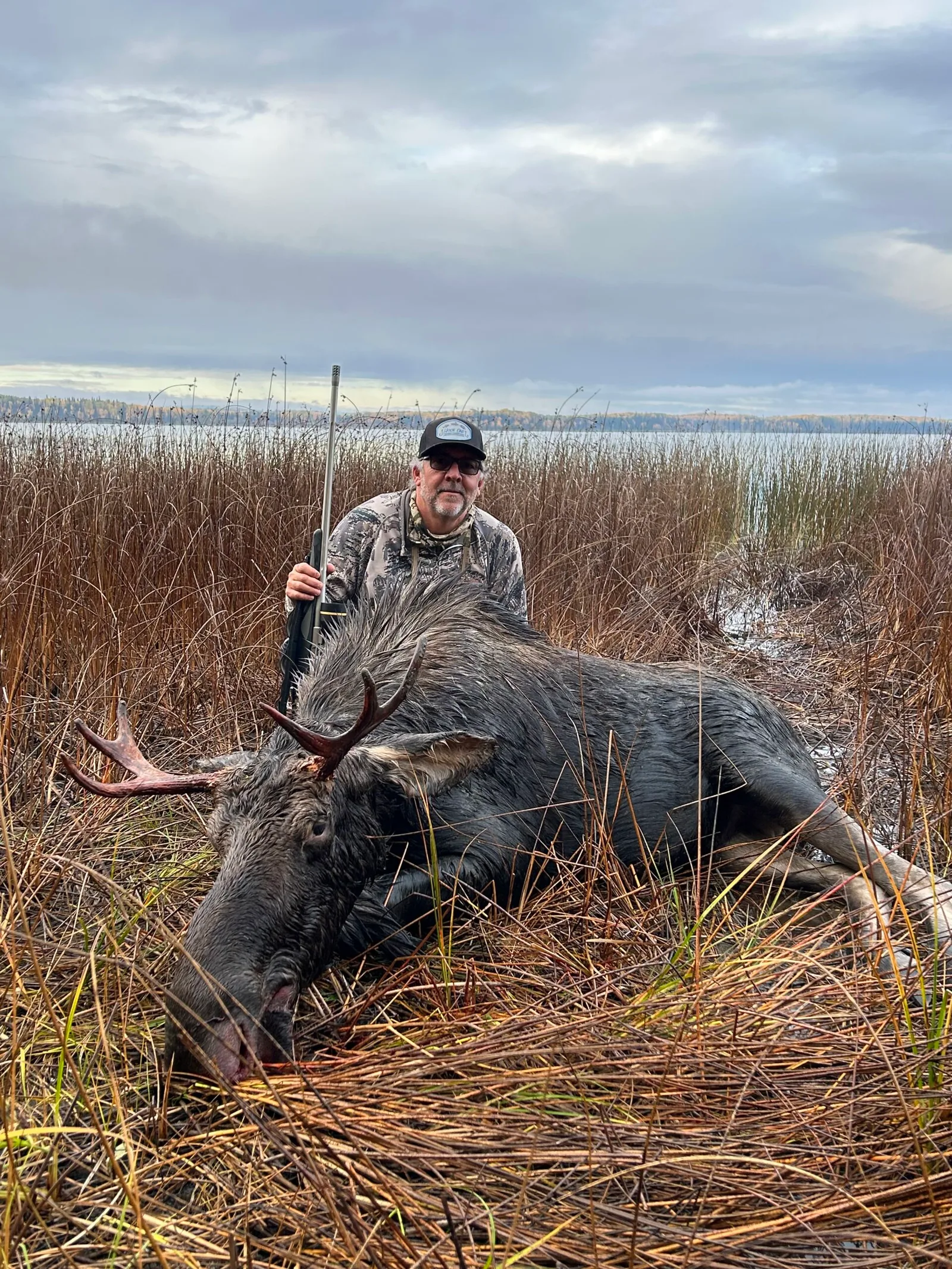 Mike Hawkridge kneeling behind a harvested bull moose in the marsh grass at the edge of Stuart Lake
